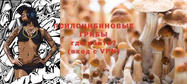 спиды Беломорск
